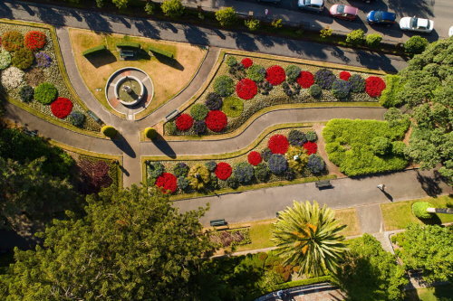 Wellington Botanic Garden ki Paekākā